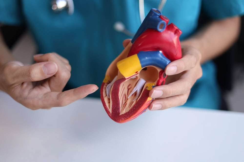 Heart Valve Surgery: What Patients Really Experience Before and After