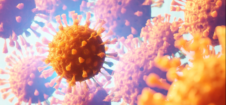 Personalized Cancer Treatment & Immunotherapy