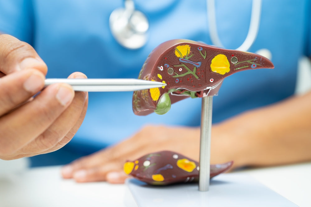 Liver Cancer Surgery