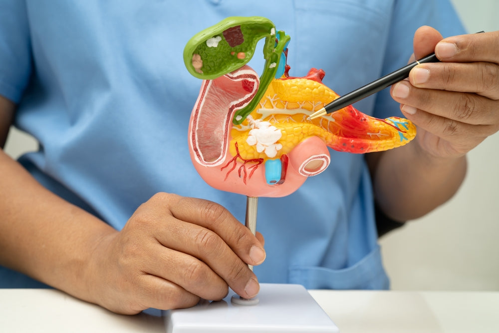 Pancreatic Cancer Surgery