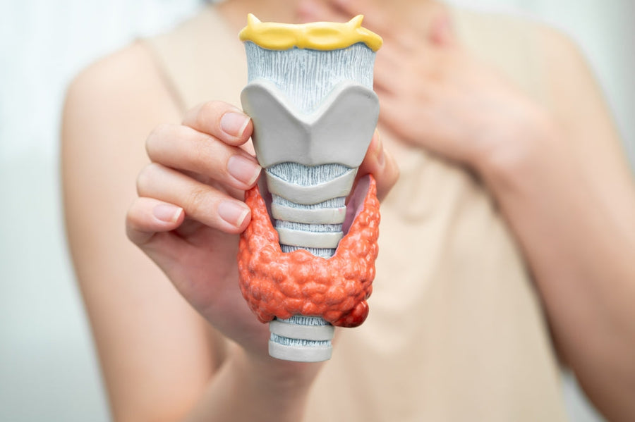 Thyroid Cancer Surgery